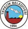 810__logo-tepecik1